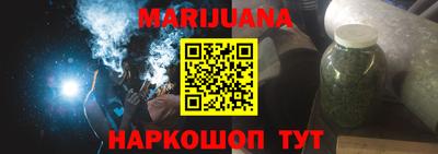 индика Шелехов