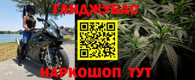 стаф Ярославль