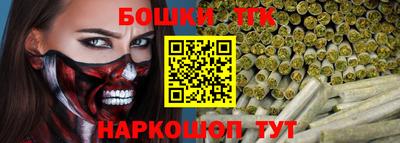 индика Шелехов