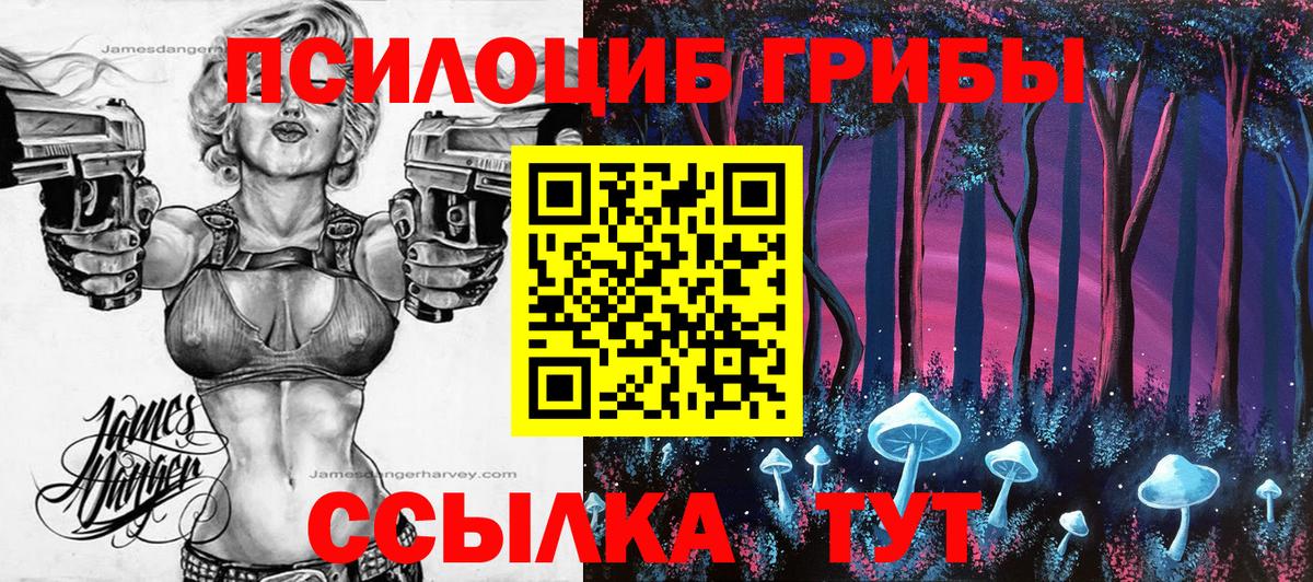 Псилоцибиновые грибы мицелий  Вход с VPN  Белореченск  Галлюциногенные грибы Psilocybe 